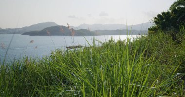 Dağın tepesinden deniz manzarası
