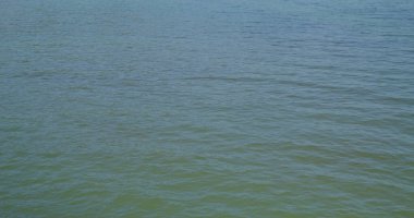 Gündüz vakti deniz kumsalı