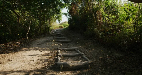 Faça Caminhadas Floresta — Fotografia de Stock