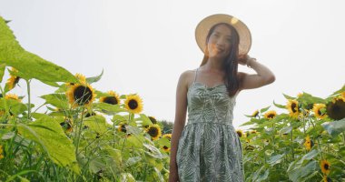 Kadınlar yaz ayçiçeği çiftliğine giderler.