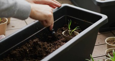 Evin balkonundaki küçük bahçedeki toprağa tohum ekiyor.