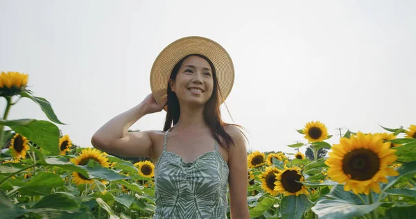 Woman visit sunflower garden farm