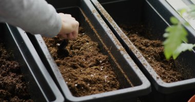 Toprağı ekime hazırlayın.