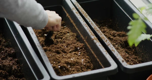 Toprağı ekime hazırlayın.