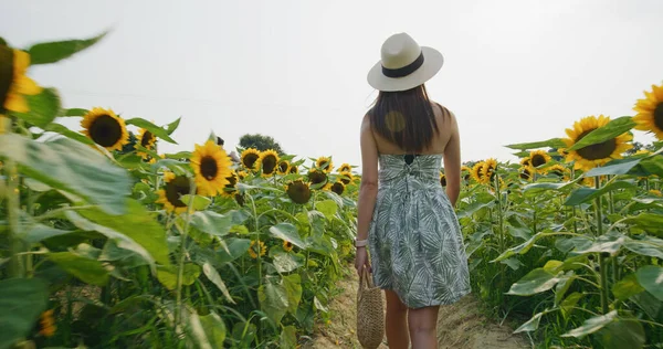 Frau Besucht Sonnenblumenfarm Sommer — Stockfoto