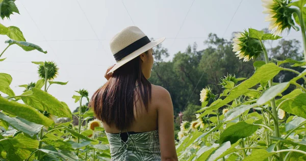 Donna Godere Visitare Fattoria Girasole — Foto Stock