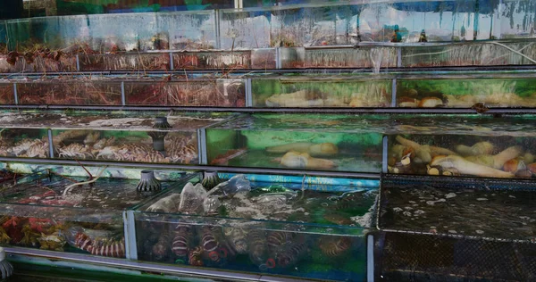 Tanque Pescado Que Vende Mariscos Restaurante —  Fotos de Stock
