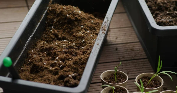 Préparer Sol Pour Planter Maison Jardin — Photo