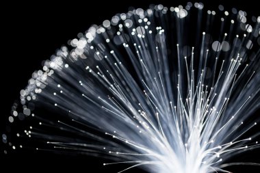 Fiber optik