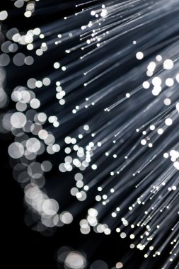 Fiber optik