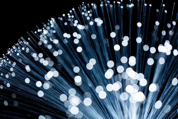 Fibra óptica en tono azul — Foto de Stock