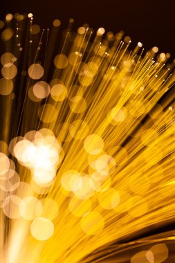 fiber optik ağ kablosu