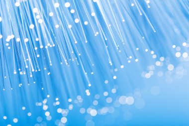 fiber optik ağ kablosu