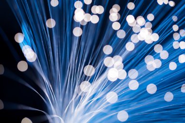 fiber optik ağ kablosu