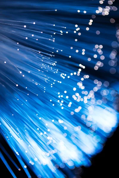 Glasfaser-Netzwerkkabel — Stockfoto