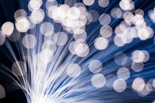 Üvegszálas optikai hálózati kábel — Stock Fotó