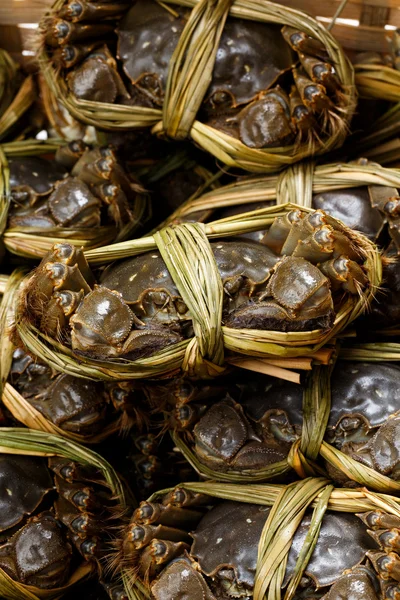 Granchi pelosi d'acqua dolce — Foto Stock