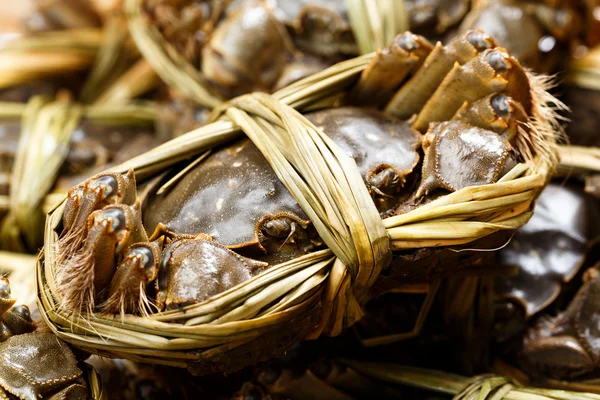 Freshwater hairy crabs — Stock Photo, Image