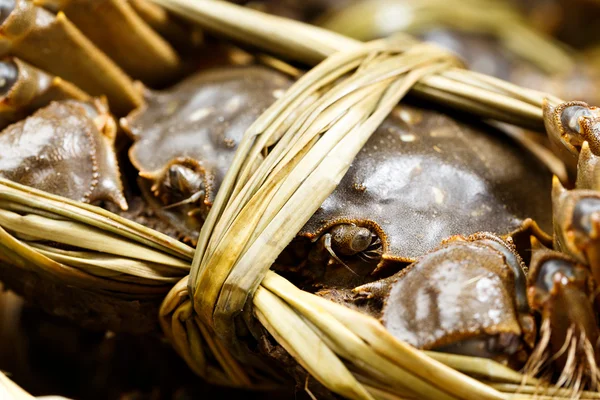 Freshness hairy crabs — Stock Photo, Image