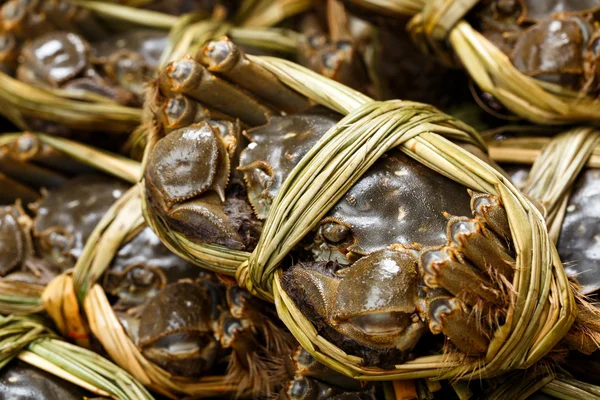 Freshness hairy crabs — Stock Photo, Image