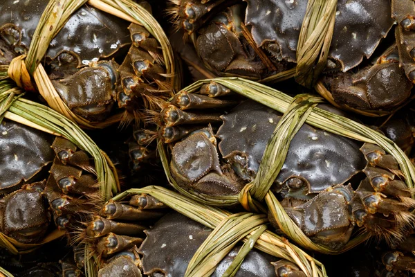 Crabes poilus d'eau douce chinois — Photo