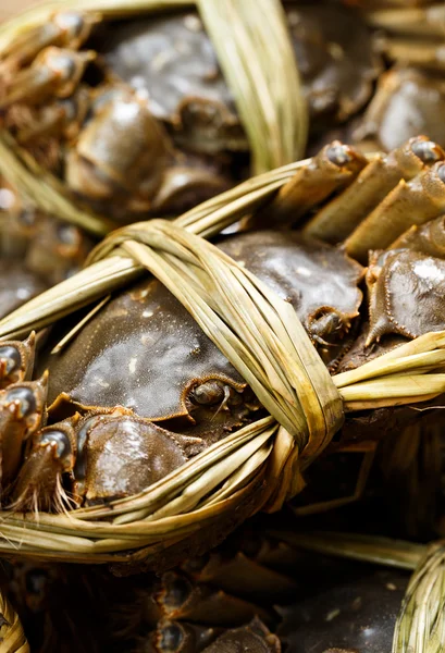 Cinese d'acqua dolce Granchi pelosi — Foto Stock