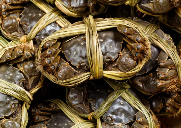 Chinese hairy crabs — Stock Photo, Image