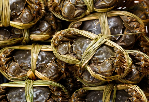 Caranguejos peludos de água doce — Fotografia de Stock