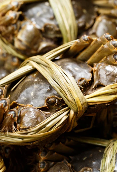 Freshwater Hairy Crabs — Stock Photo, Image