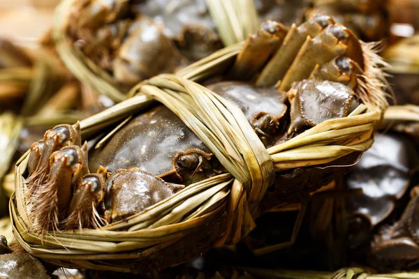 Chinesische Süßwasserkrabben — Stockfoto