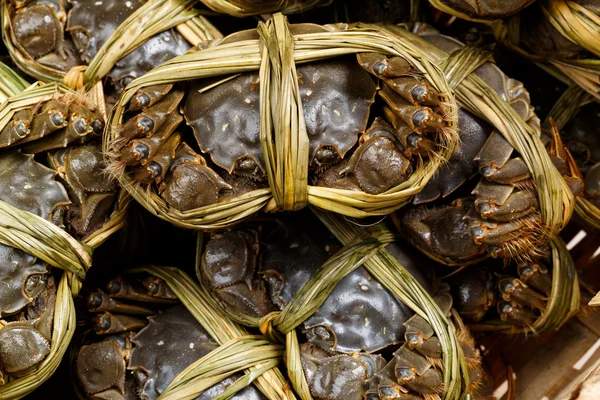 Chinese freshwater hairy crabs — Stock Photo, Image