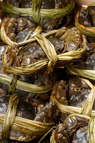 Kinesiska sötvatten håriga krabbor — Stockfoto