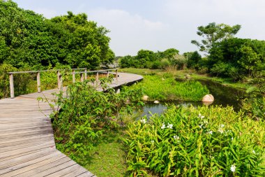 Bir su birikintisi üzerinde köprü