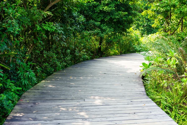 Bridge over a pond — Stock Photo, Image