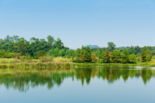 Trees, meadow, and pond — Stock Photo, Image