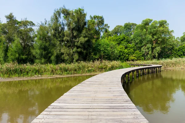 Wooden walkway — Stock Photo, Image