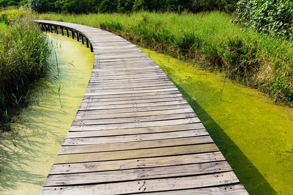 Passerelle en bois — Photo