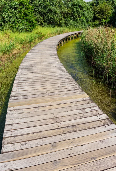 Gångväg av trä — Stockfoto