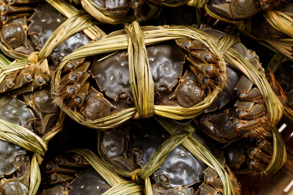 Cangrejos pelidos de agua dulce —  Fotos de Stock