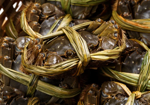 Freshwater hairy crabs — Stock Photo, Image