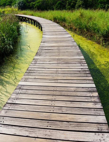 Bir su birikintisi üzerinde köprü — Stok fotoğraf