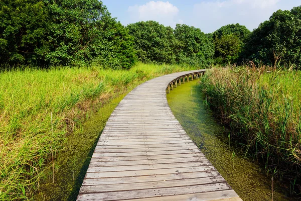 Puente sobre un estanque — Foto de Stock