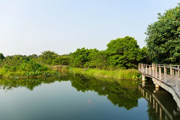 Jezero a most — Stock fotografie