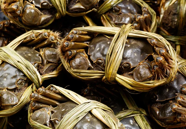 Crabes poilus chinois — Photo