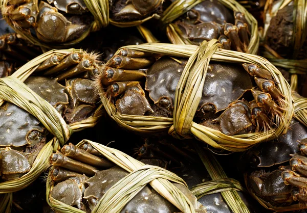 Chinese hairy crabs — Stock Photo, Image