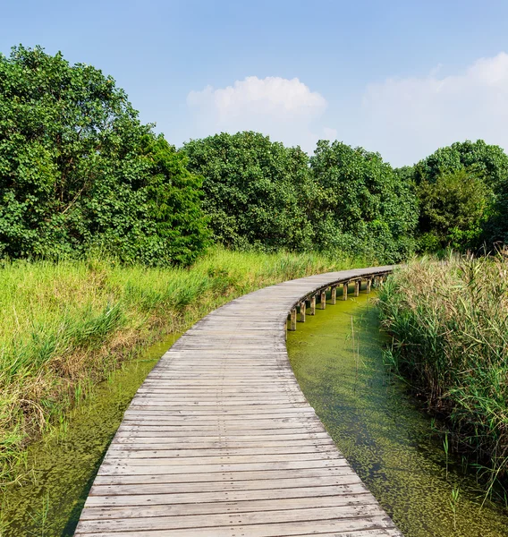 Pont au-dessus d'un étang — Photo