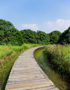 Boardwalk sulak aracılığıyla