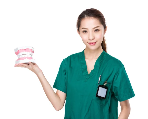 Female dentist with denture — Stock Photo, Image