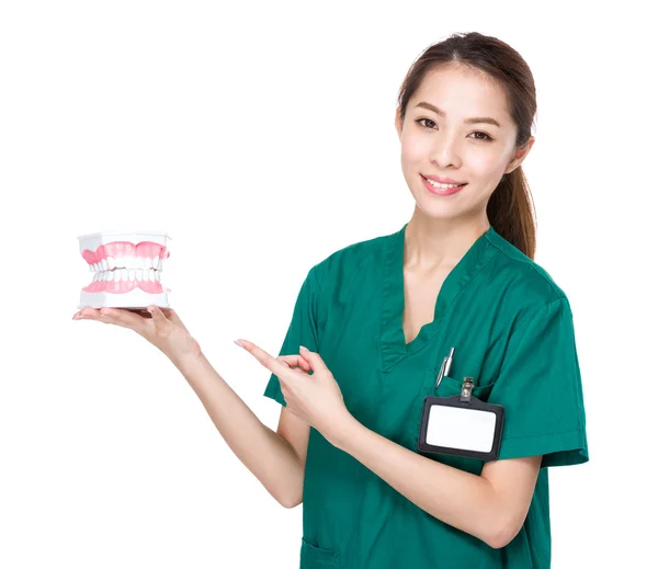 Female dentist with denture — Stock Photo, Image