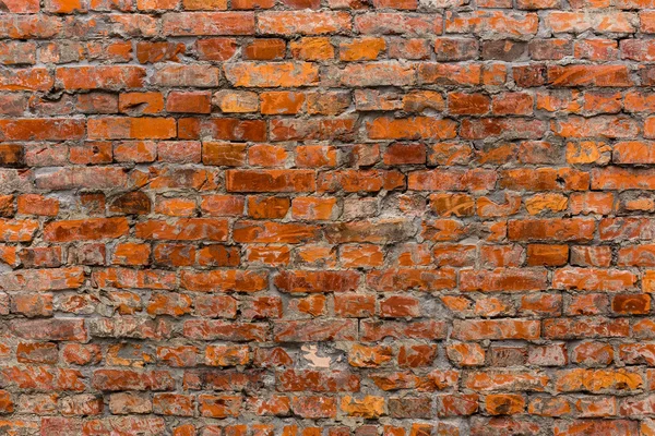 Alte Ziegelmauer — Stockfoto